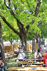 Maidult mit schattigem Biergarten (Foto: Martin Schmitz)